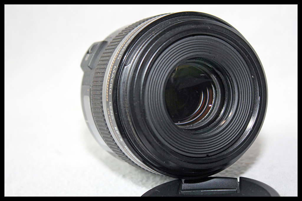 Canon EF-S 60mm f/2.8 Macro USM