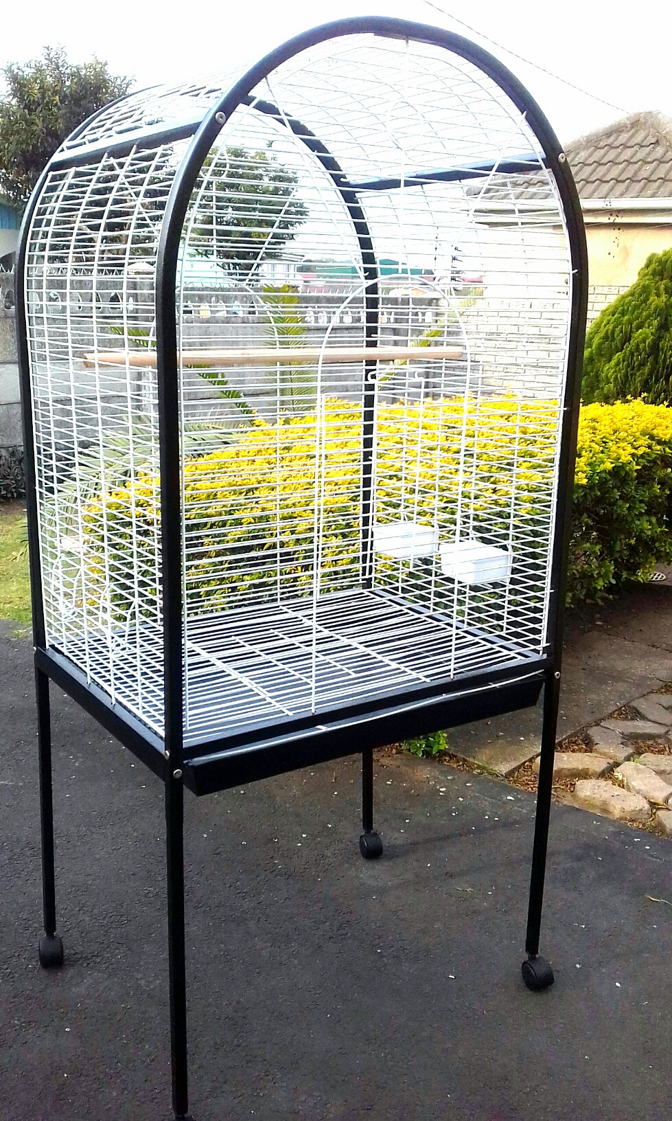 large parrot bird cage