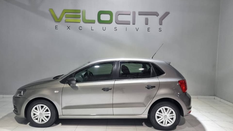Polo Vivo