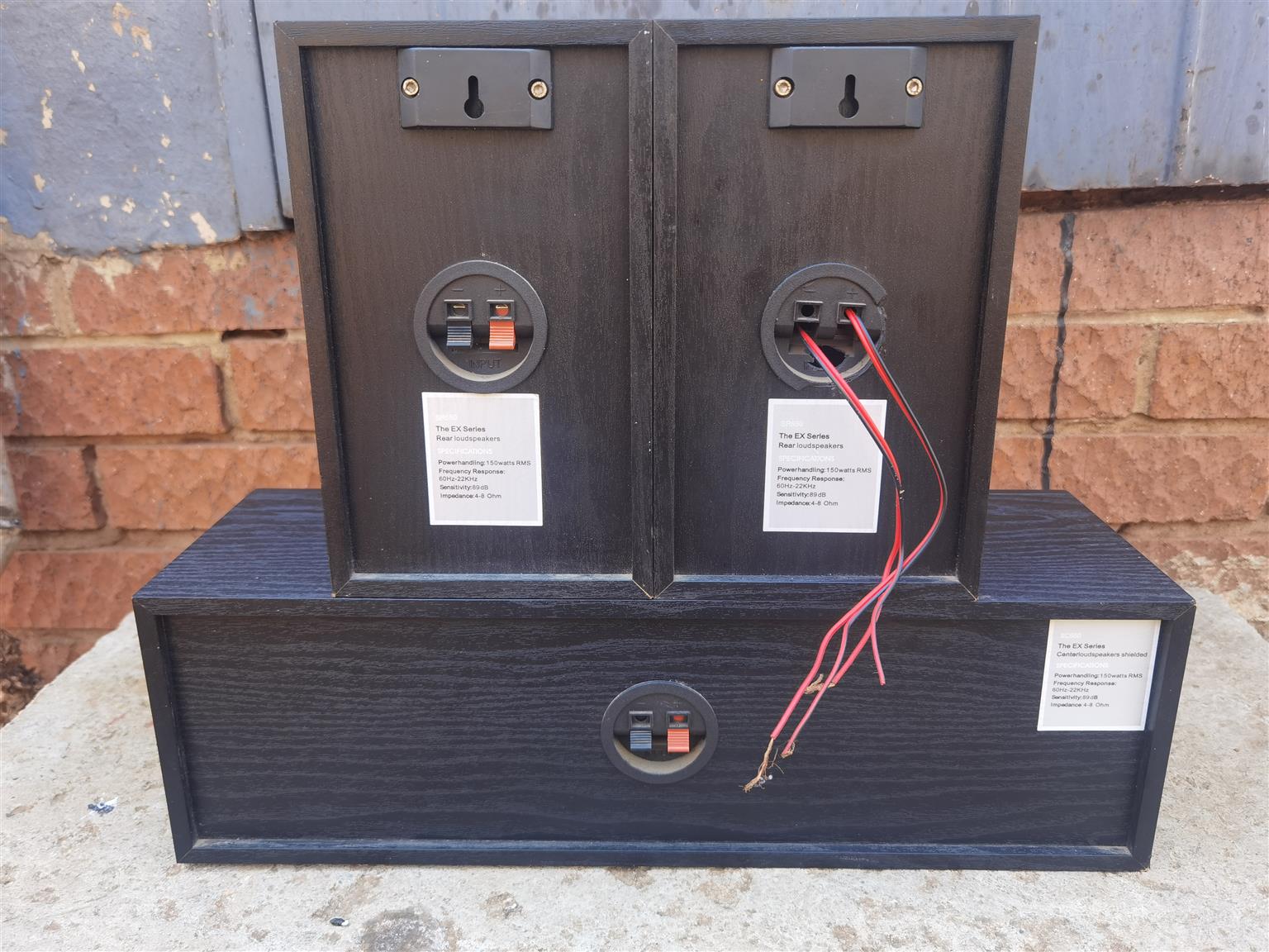 Pioneer The EX Series Surround Speaker's (Read Description)