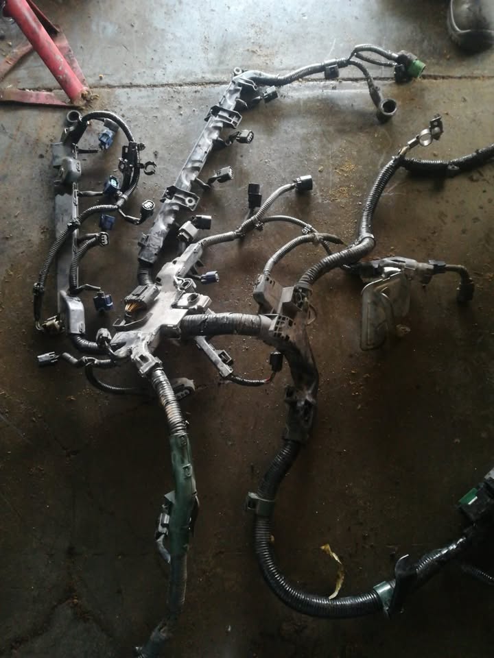 HONDA CIVIC IVTEC VXI ENGINE HARNESS - Private Seller