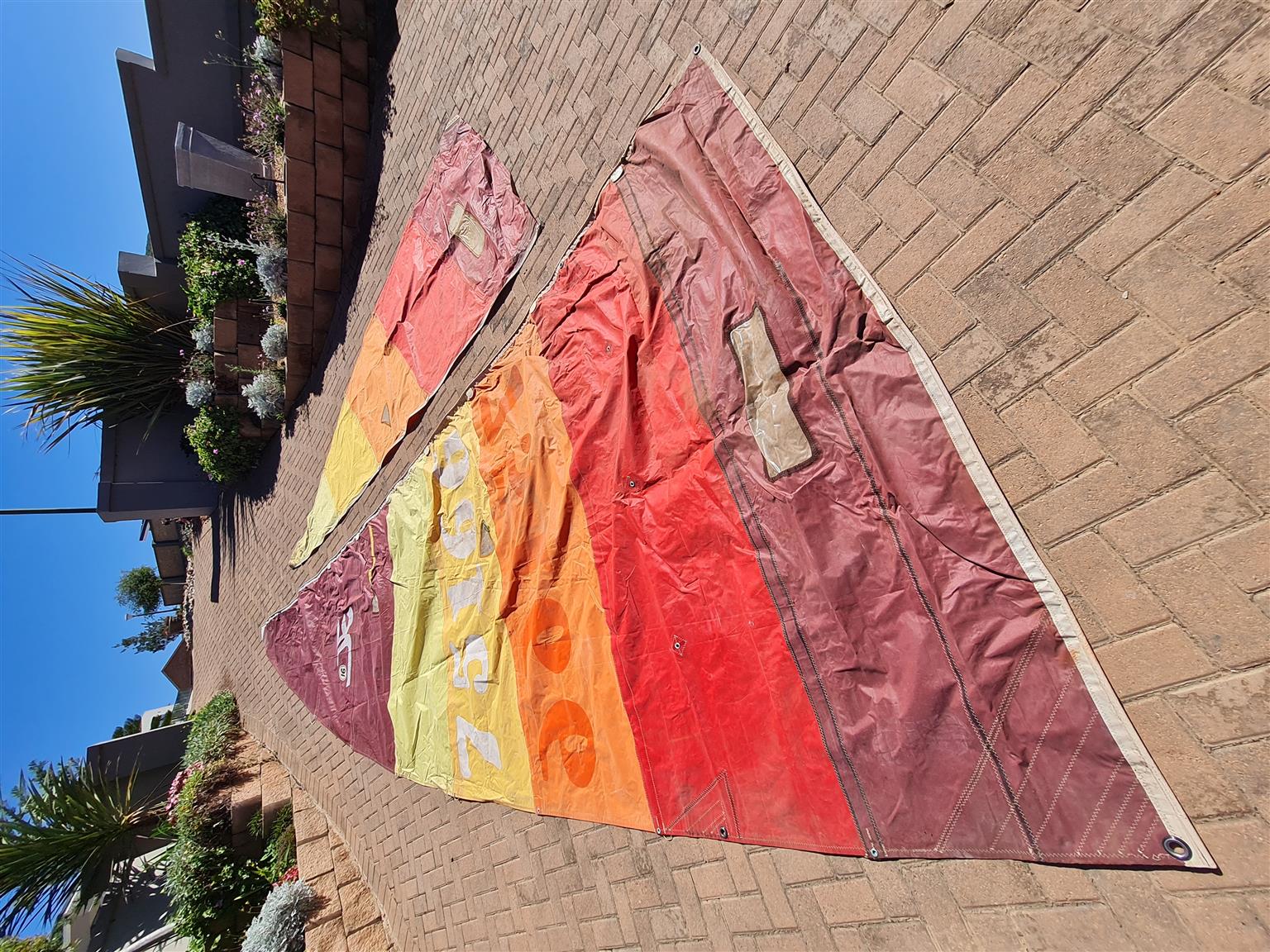 Hobie 16, Main and jib sail only