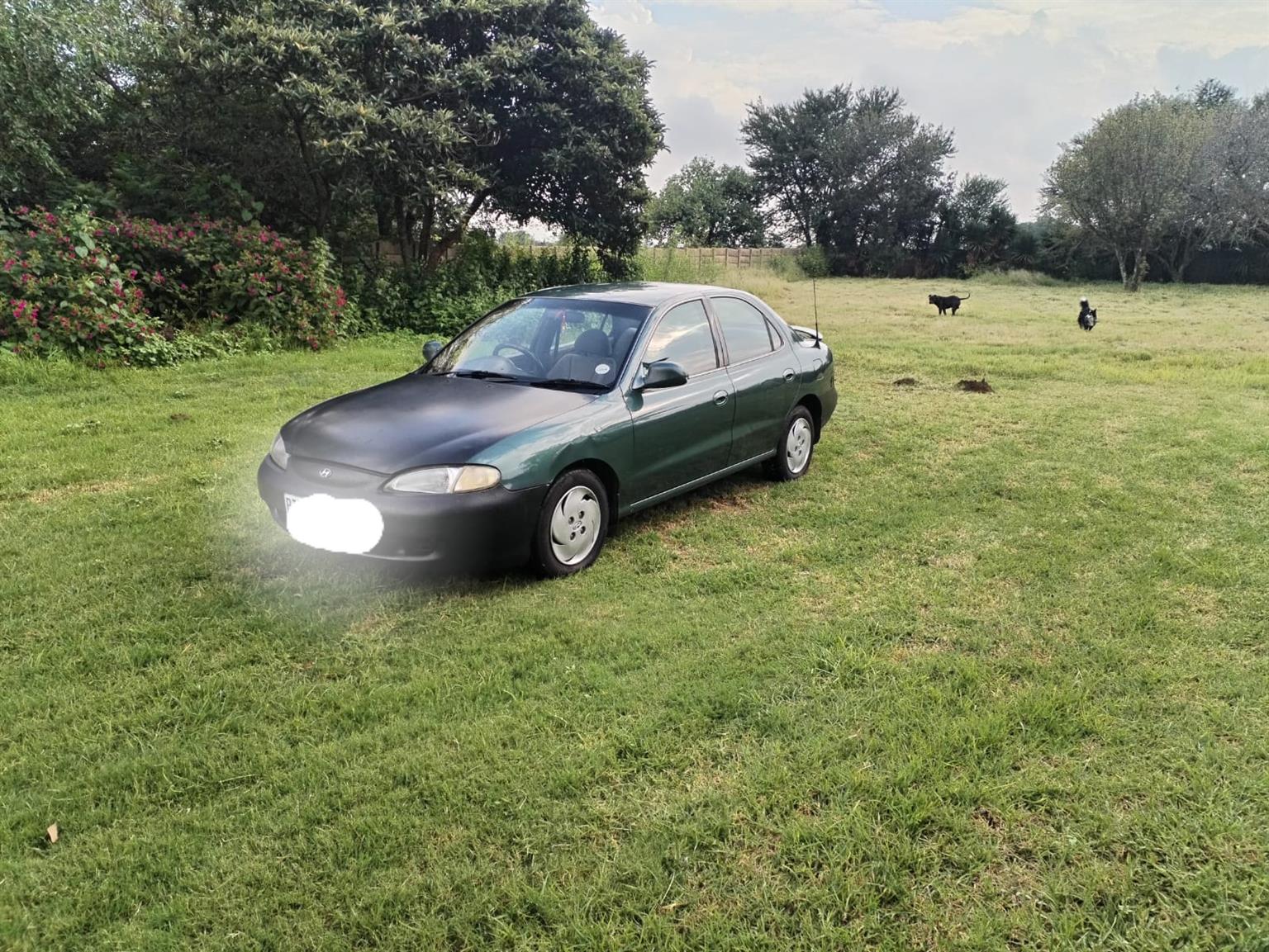 Used 1997 Hyundai Elantra 1.6 Premium - Private Seller Used 1997 Hyundai Elantra 1.6 Premium - Private Seller