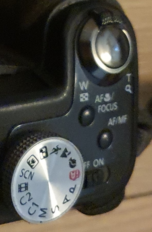 Panasonic Lumix DMC-FZ28 with extra Battry