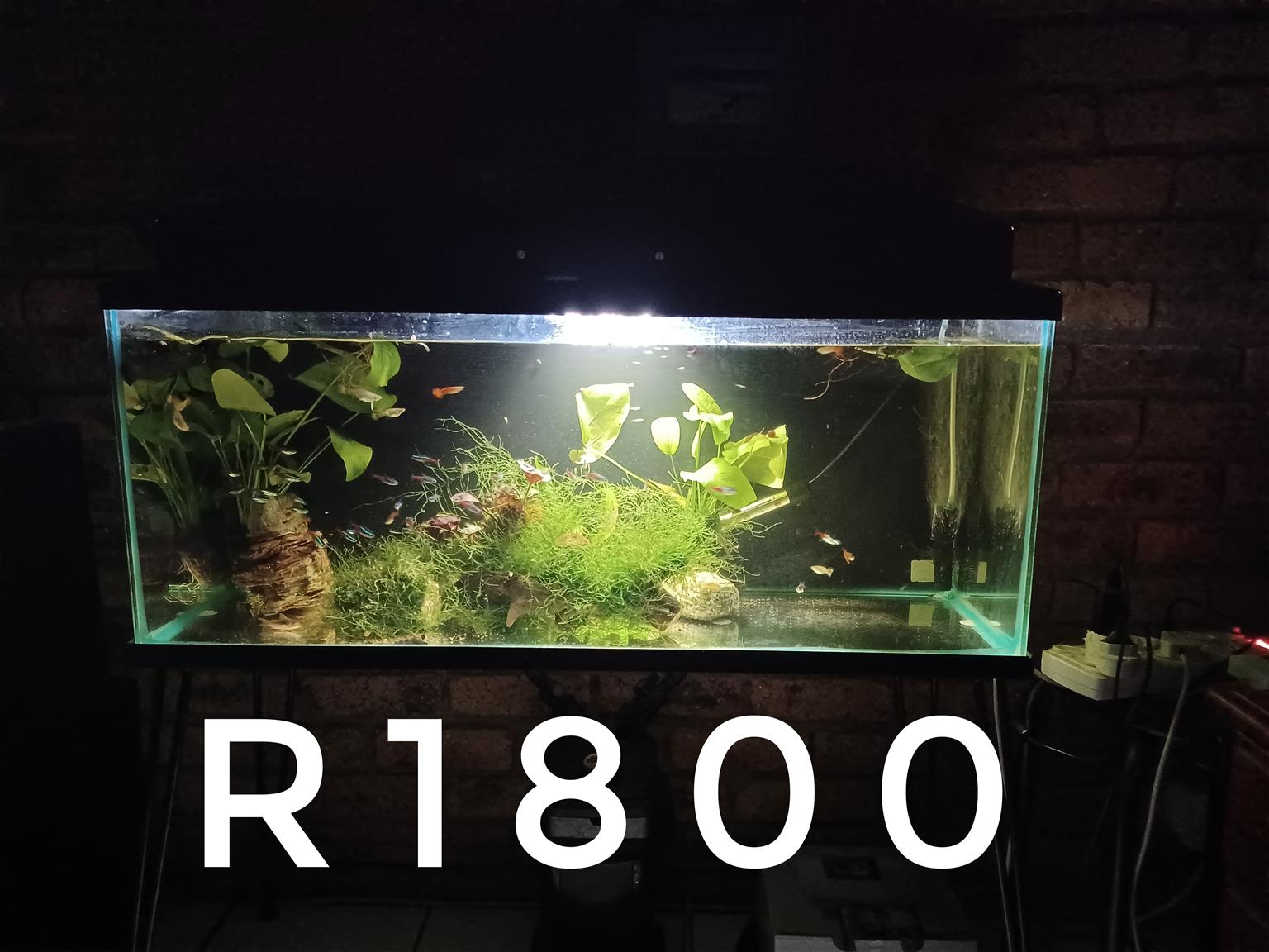 Fish tanks for sale sale junkmail