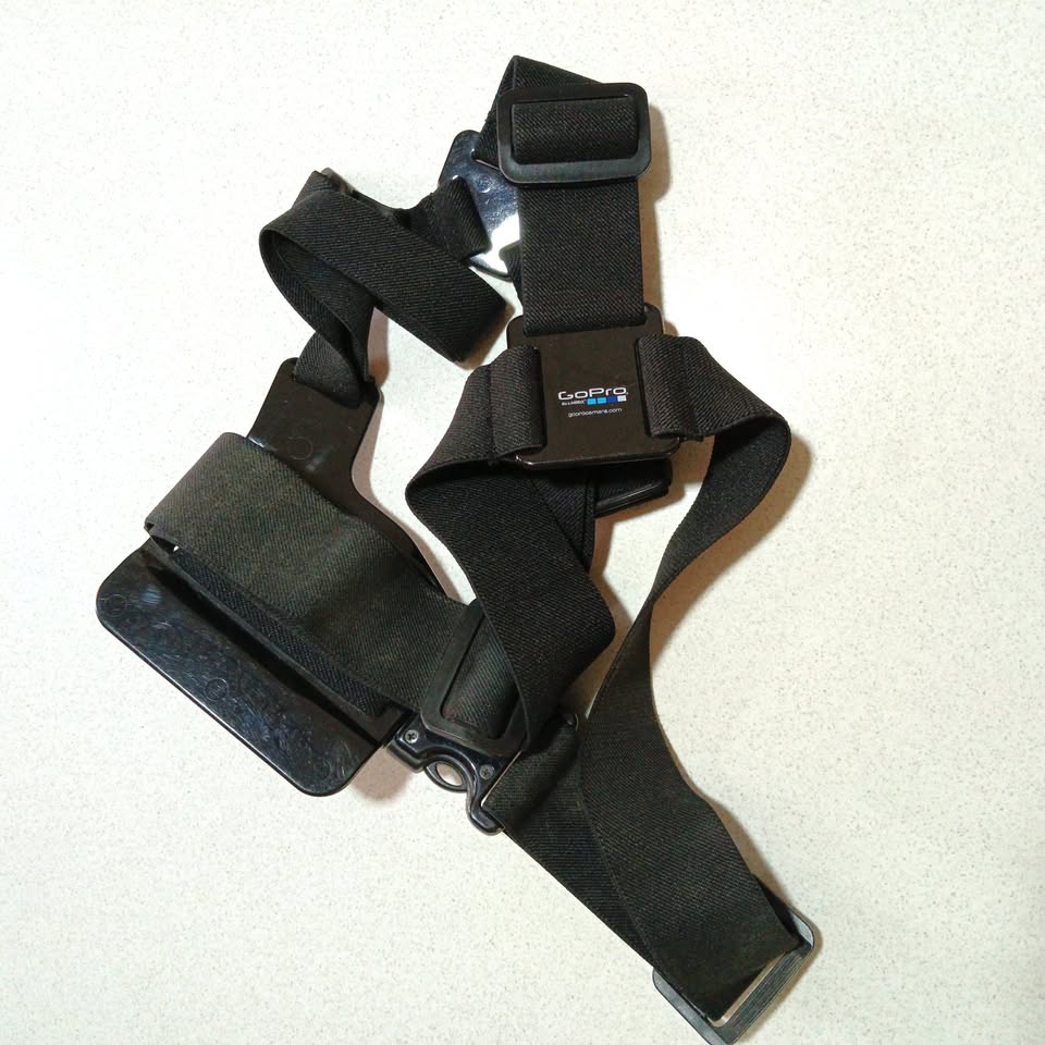 Original GoPro Chesty Chest mount harness.