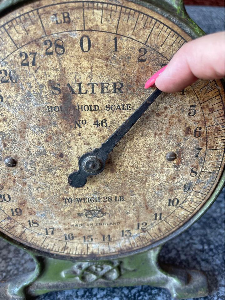 Salter pound scale