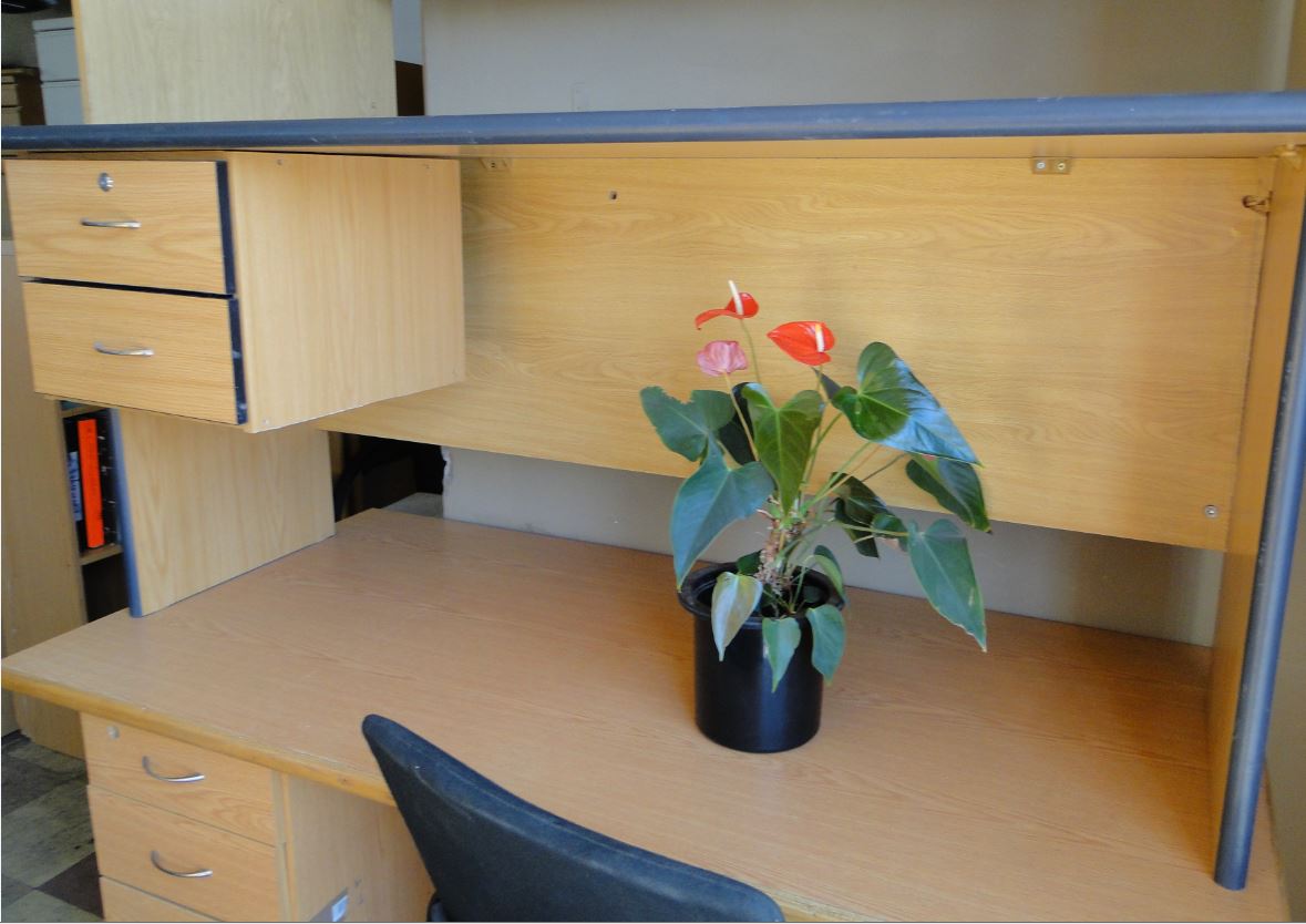 Single Desk ideal  a student or small study R550