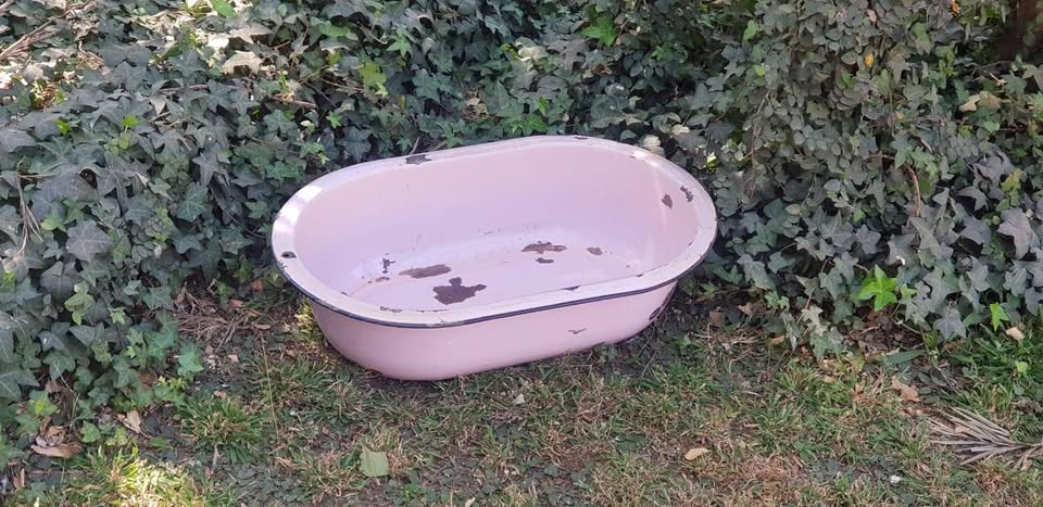 For Hire – Vintage Pink Enamel Bath For Hire – Vintage Pink Enamel Bath