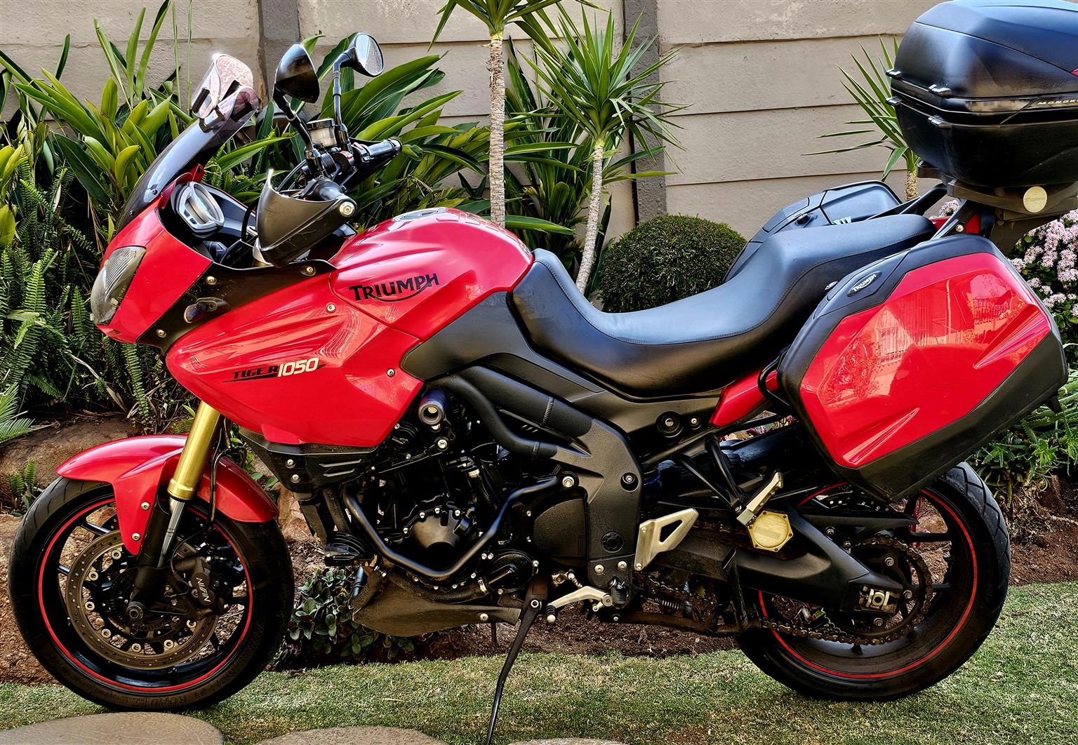Used 2013 Triumph Tiger 1050 - Private Seller Used 2013 Triumph Tiger 1050 - Private Seller