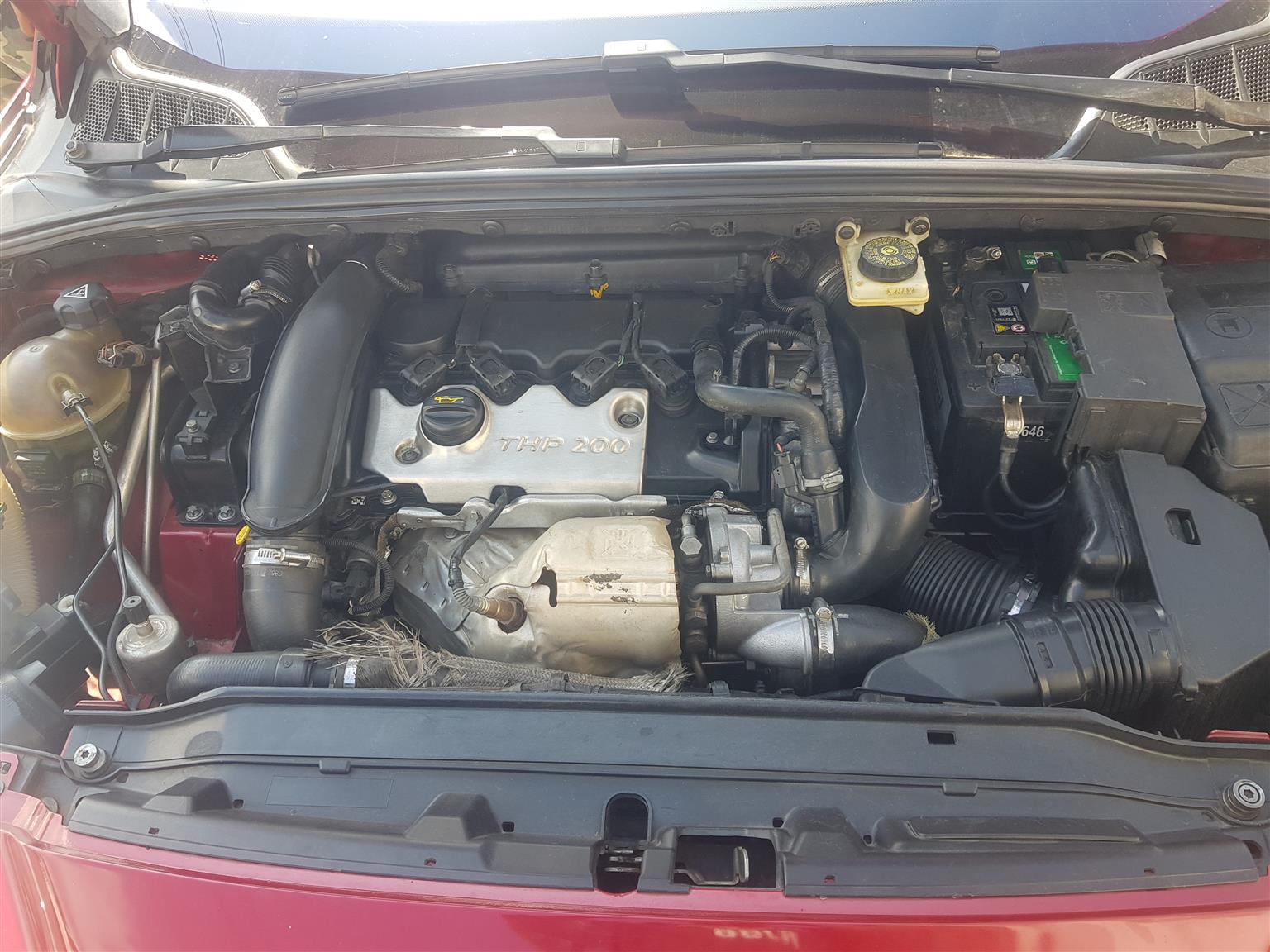 Ford focus stripping - Private Seller