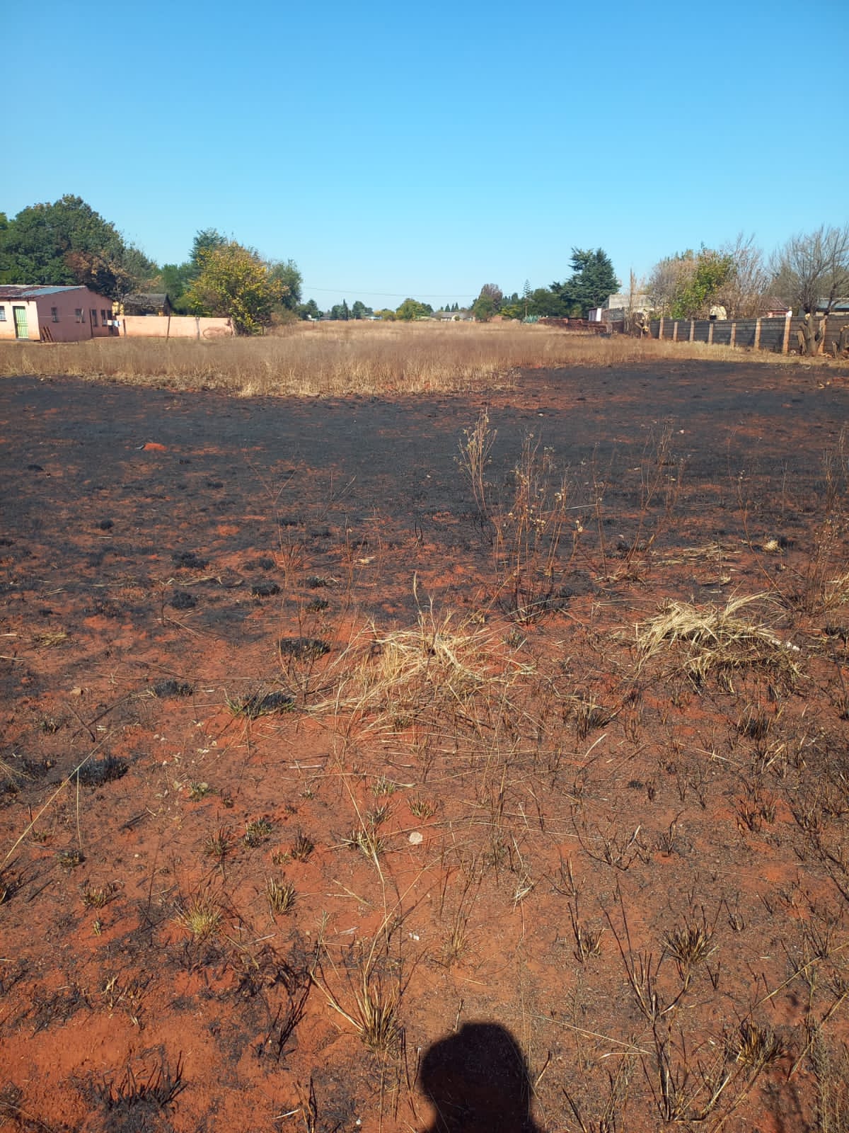 Land For Rant Farm land for rent | Junk Mail