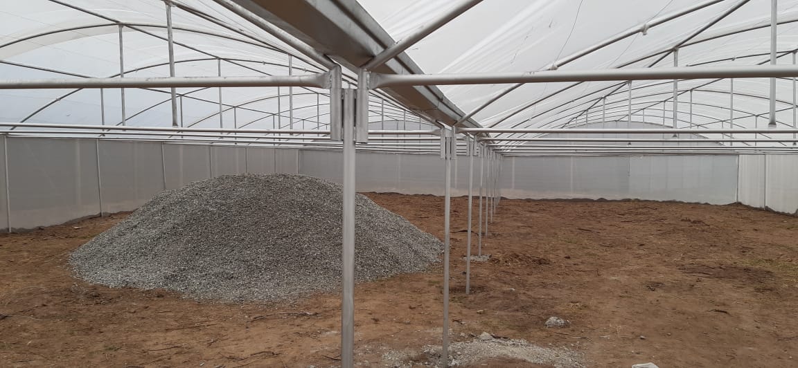 Greenhouse Installation Polokwane