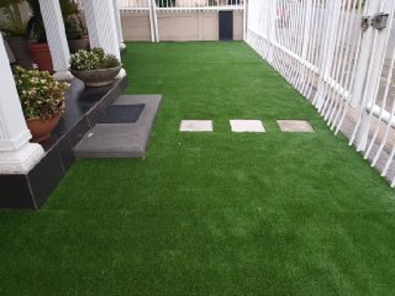 Lawn and Gardening services