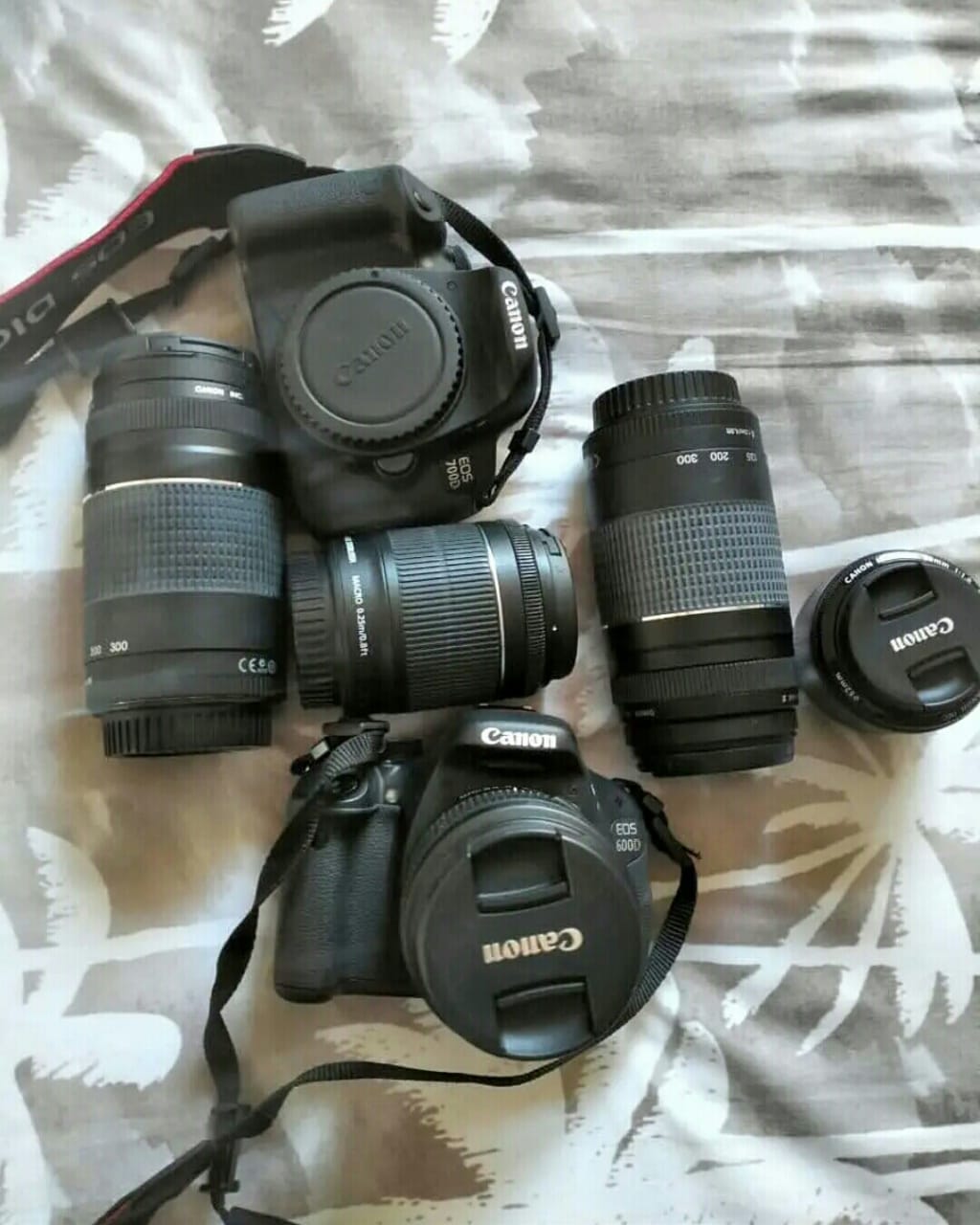 Cameras with lenses