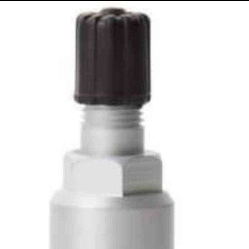 TPMS valve stem