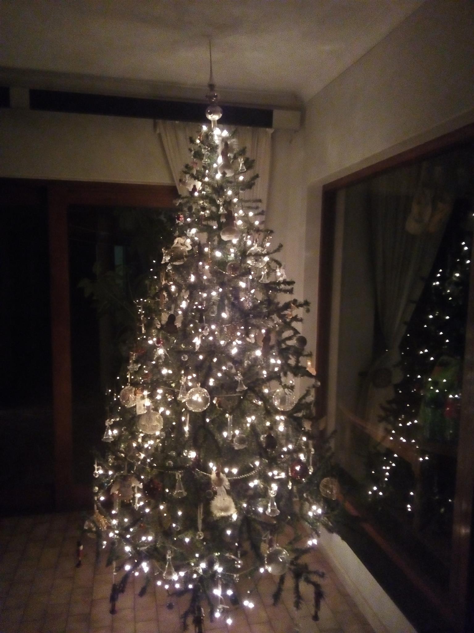 Six foot Christmas tree for sale