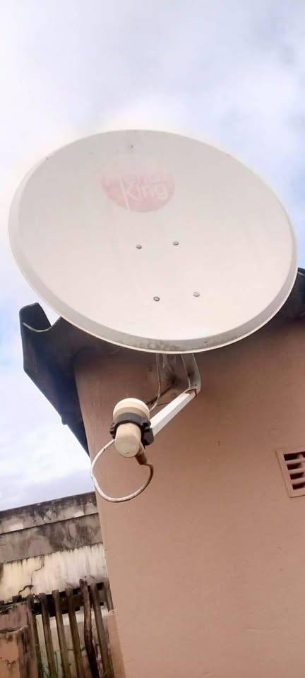 signal ,dish elbows and more