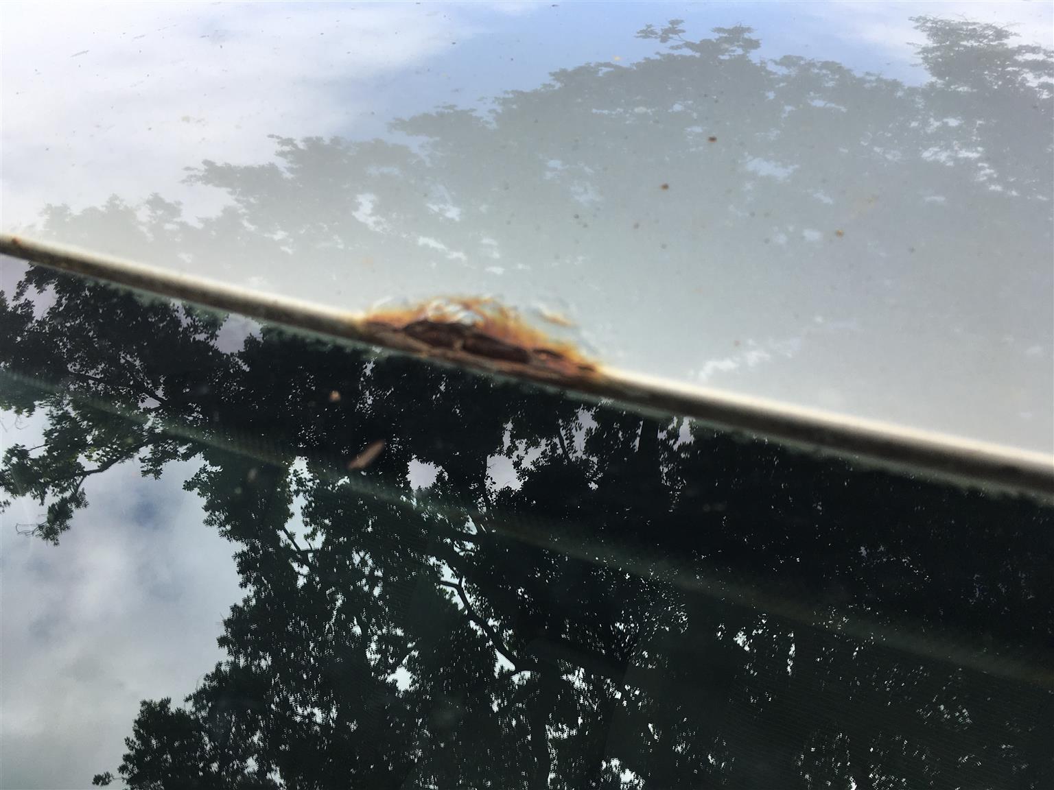 Preloaded Image 7 Preloaded Image 7