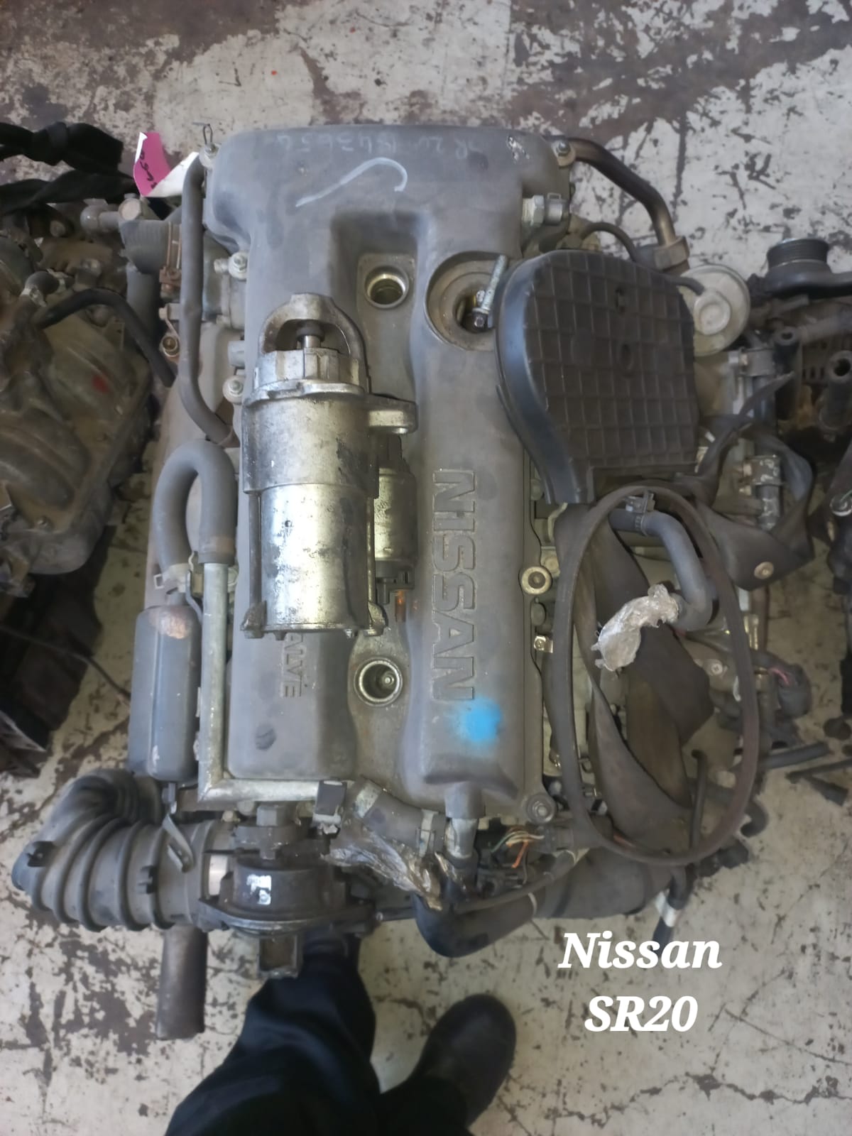 NISSAN 2.0 SR20 ENGINE AVAILABLE - Private Seller NISSAN 2.0 SR20 ENGINE AVAILABLE - Private Seller