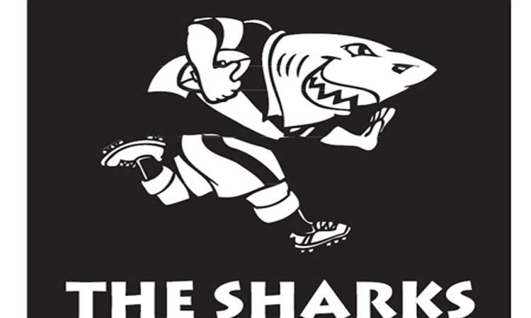 Sharks Rugby Ice Buckets. Brand New Products.
