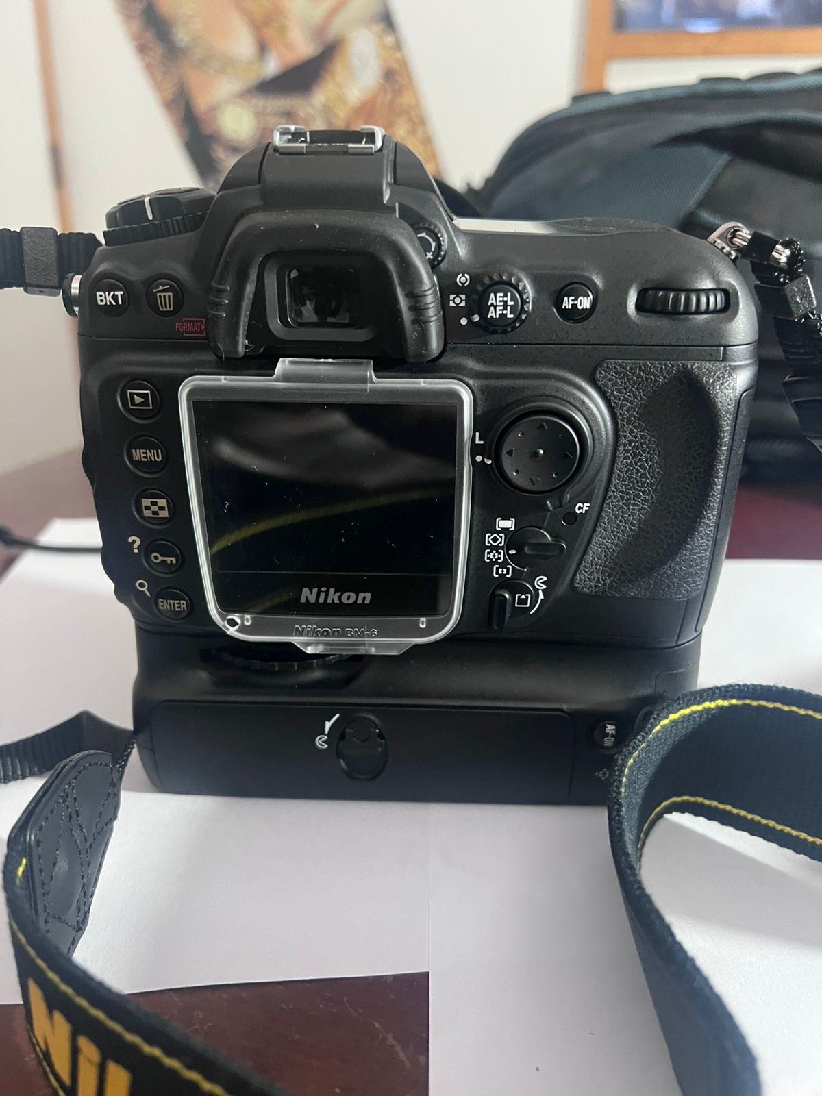 Nikon D200 With Nikon AF -S VR 70- 200mm  1:2:8G