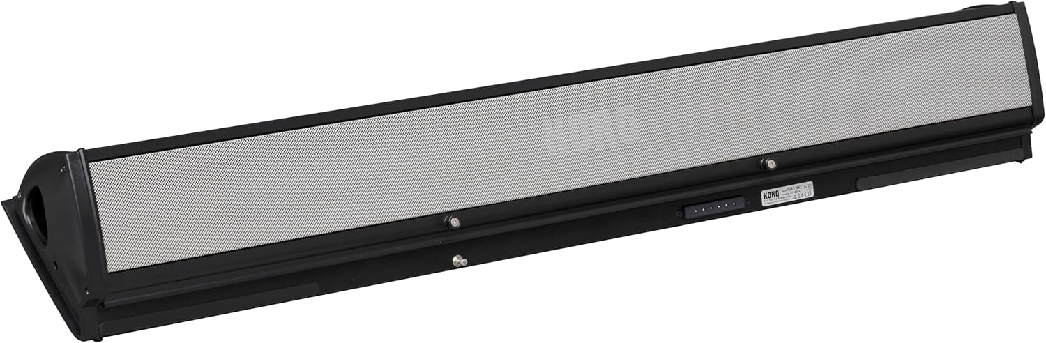 Korg PAAS mk2 Amplification System for PA5X