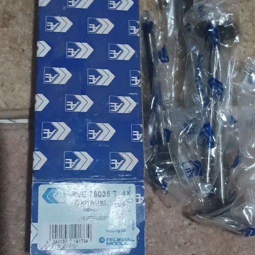 Nissan, exh valves - Private Seller