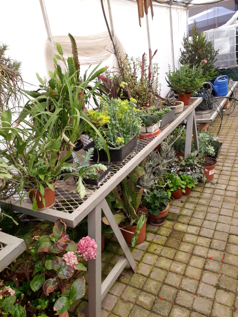Outdoor Tables For Plants Junk Mail Outdoor Tables For Plants