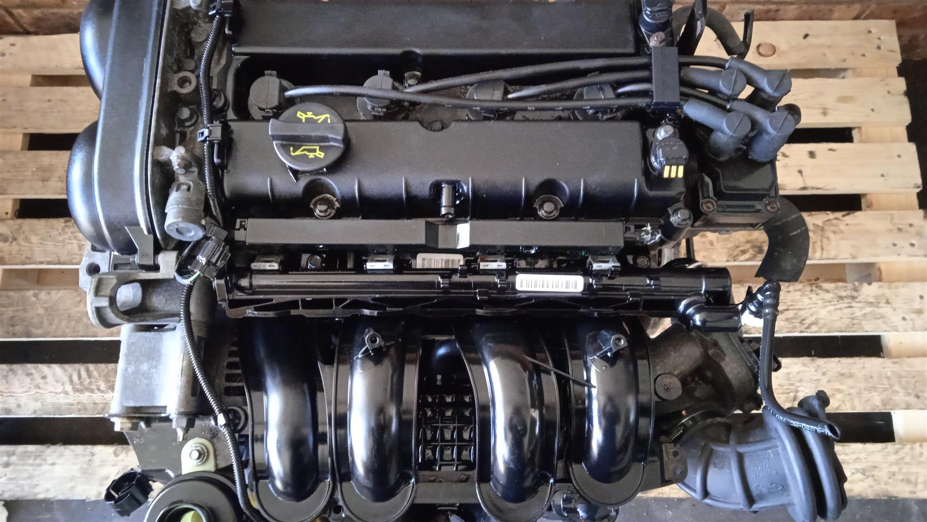 Ford Duratec 1.6l Engine For Sale (with oil cooler)