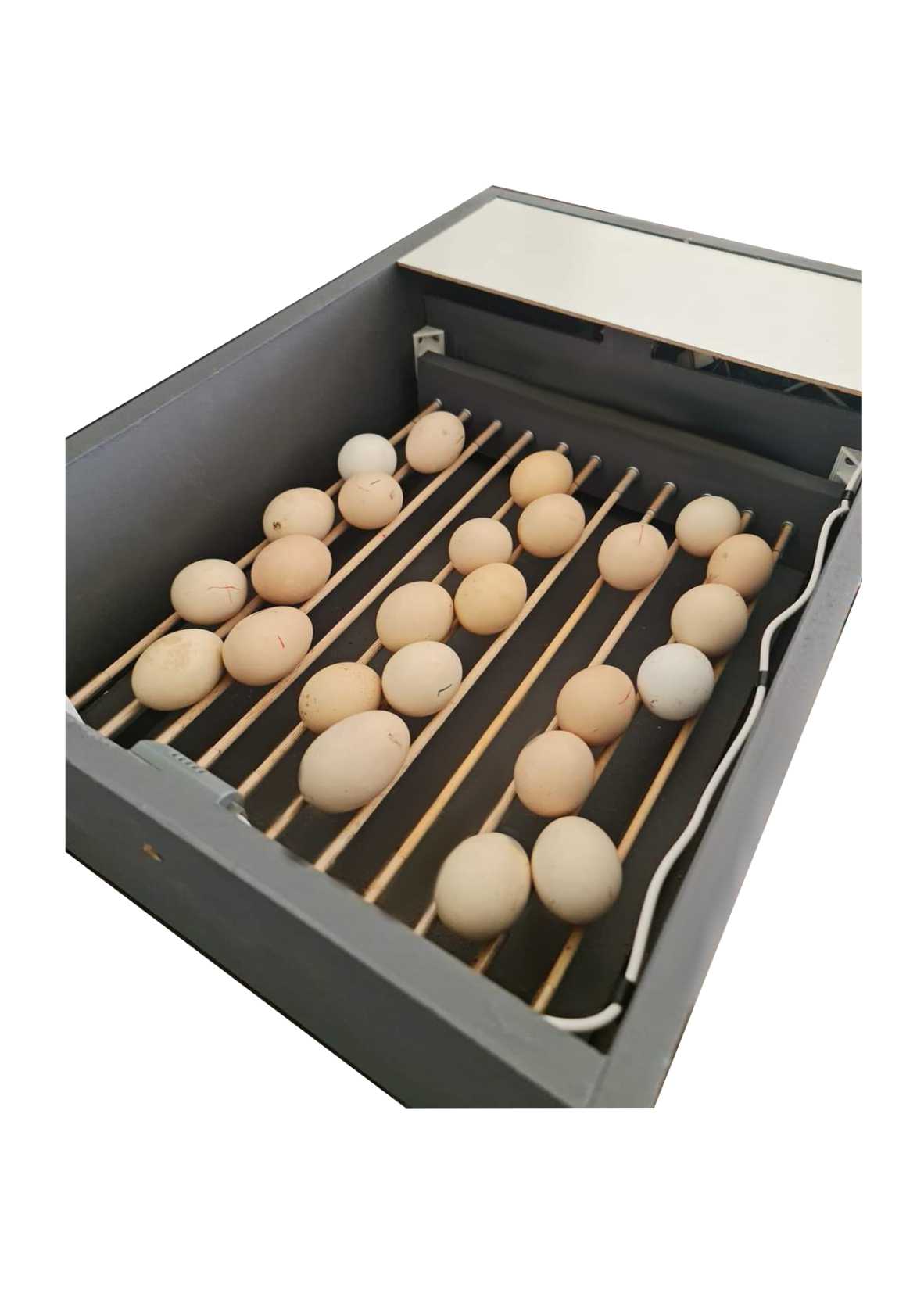 Chicken Egg Incubator (42 Eggs)