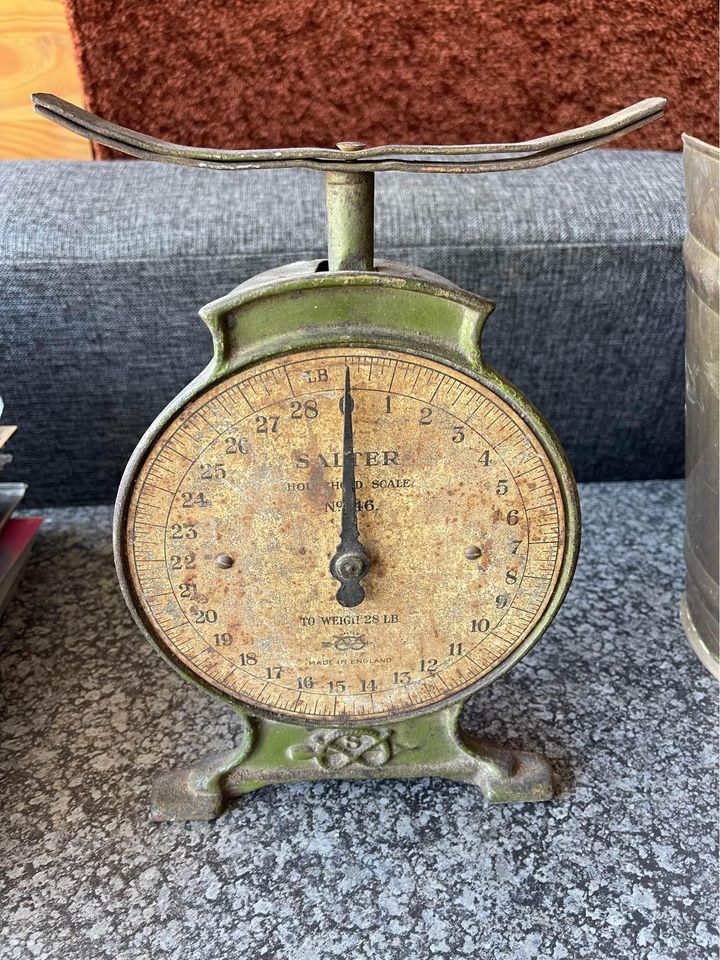 Salter pound scale