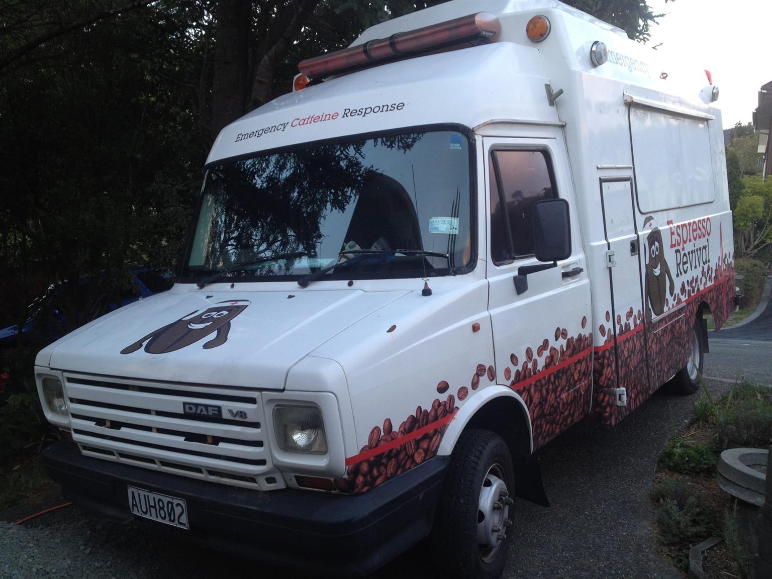 Pre-Owned Food Trucks For Sale: Your Gateway to Culinary Entrepreneurship