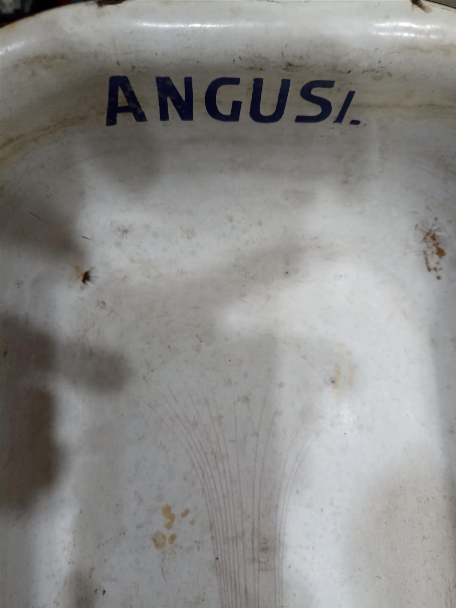 Laboratory Dish/Bath