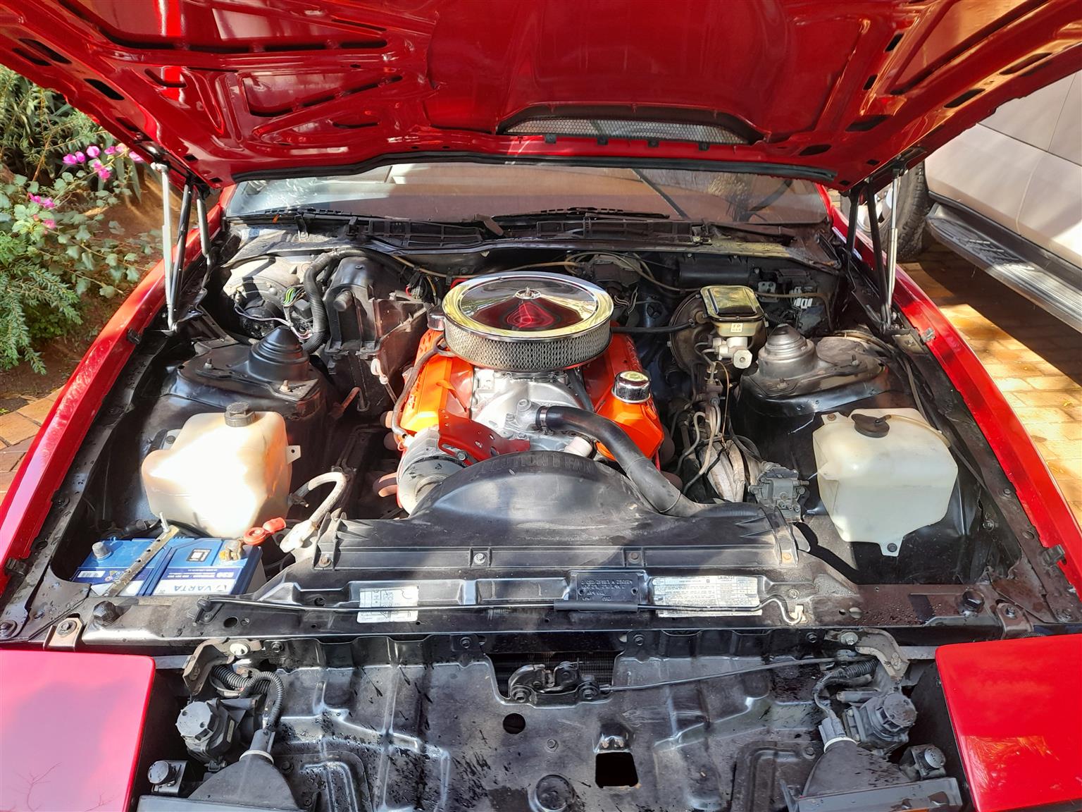 RARE RED 1983 PONTIAC TRANS AM Junk Mail