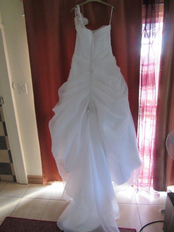 URGENT Wedding  dresses  for sale  Junk Mail