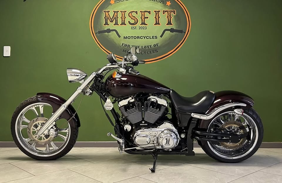 2010 Harley Davidson  Thunder Mountain Custom Sportster 1200 - Private Seller