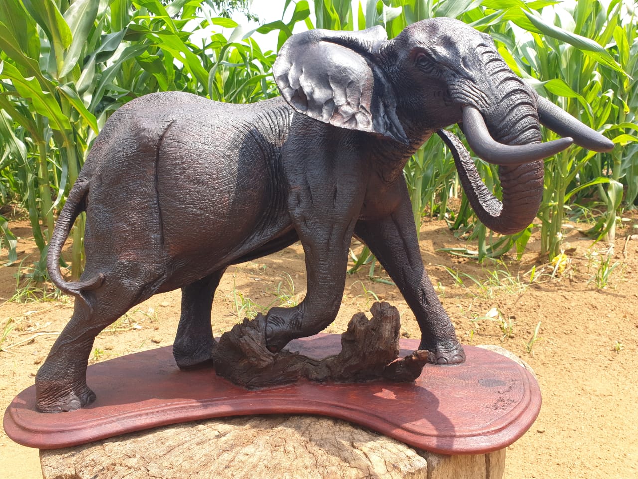 Fine art,wildlife carvings,on Ironwood