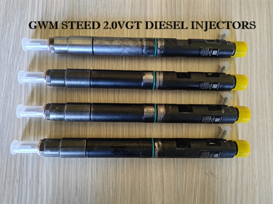 Delphi Common Rail Diesel Injectors - Repair, Recon & Exchange with Warranty - Private Seller Delphi Common Rail Diesel Injectors - Repair, Recon & Exchange with Warranty - Private Seller