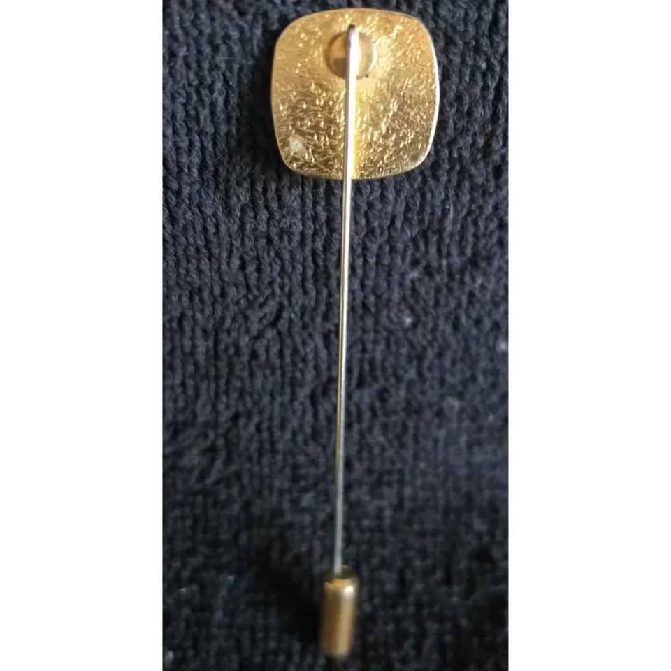 Pharmaceutical lapel pin