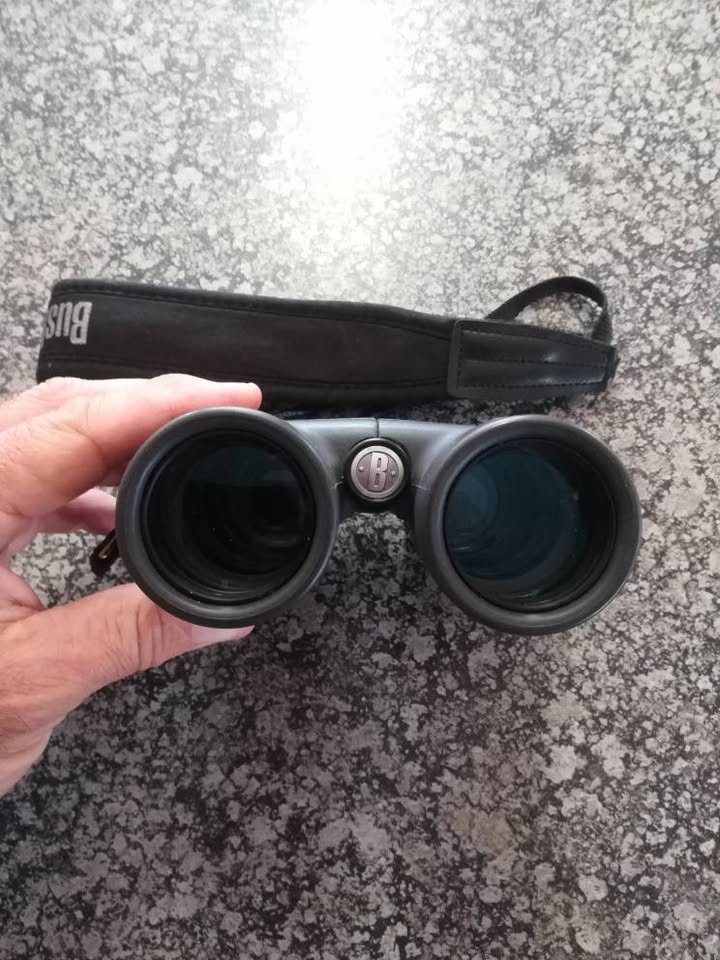 Bushnell 10x42 H2O Waterproof Binoculars