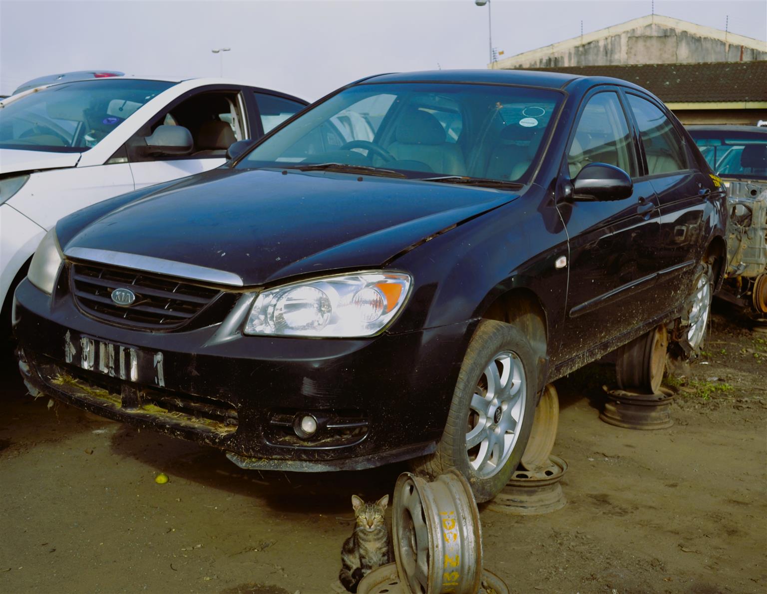 2004 Kia Cerato 2.0D – Stripping for Spares 2004 Kia Cerato 2.0D – Stripping for Spares