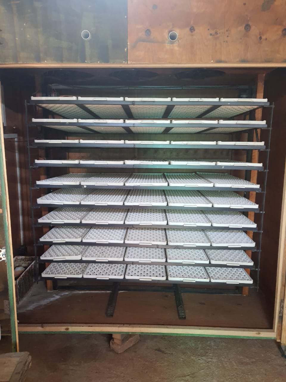 8.5ha Smallholding with broiler chicken hatchery on property | Junk ...