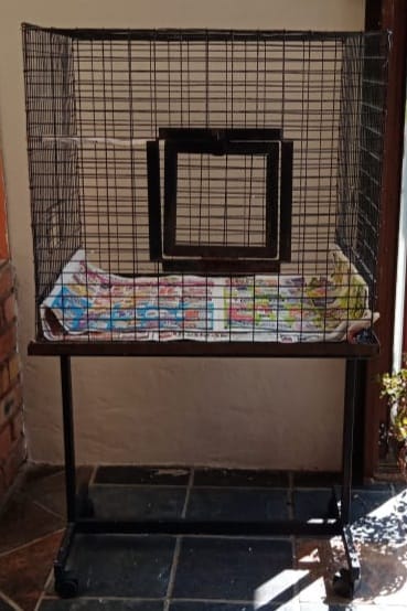 Birdcage with stand for Sale