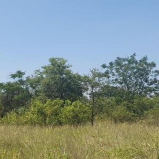 ONE HECTARE SMALLHOLDING FOR SALE KAMEELDRIFT EAST