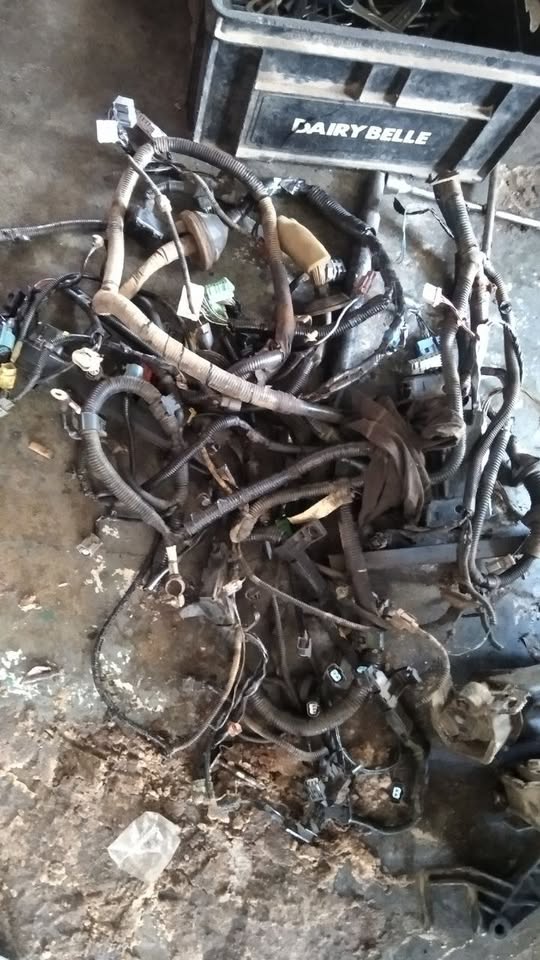 HONDA CIVIC 170i WIRING FOR SALE - Private Seller HONDA CIVIC 170i WIRING FOR SALE - Private Seller