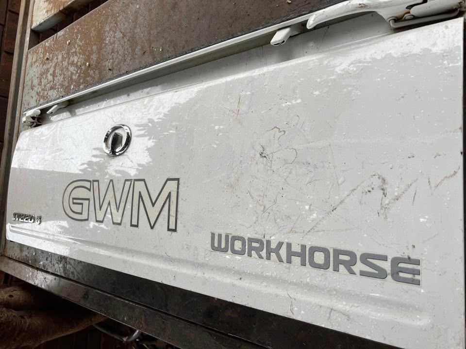 GWM STEED 5 tailgate - Private Seller