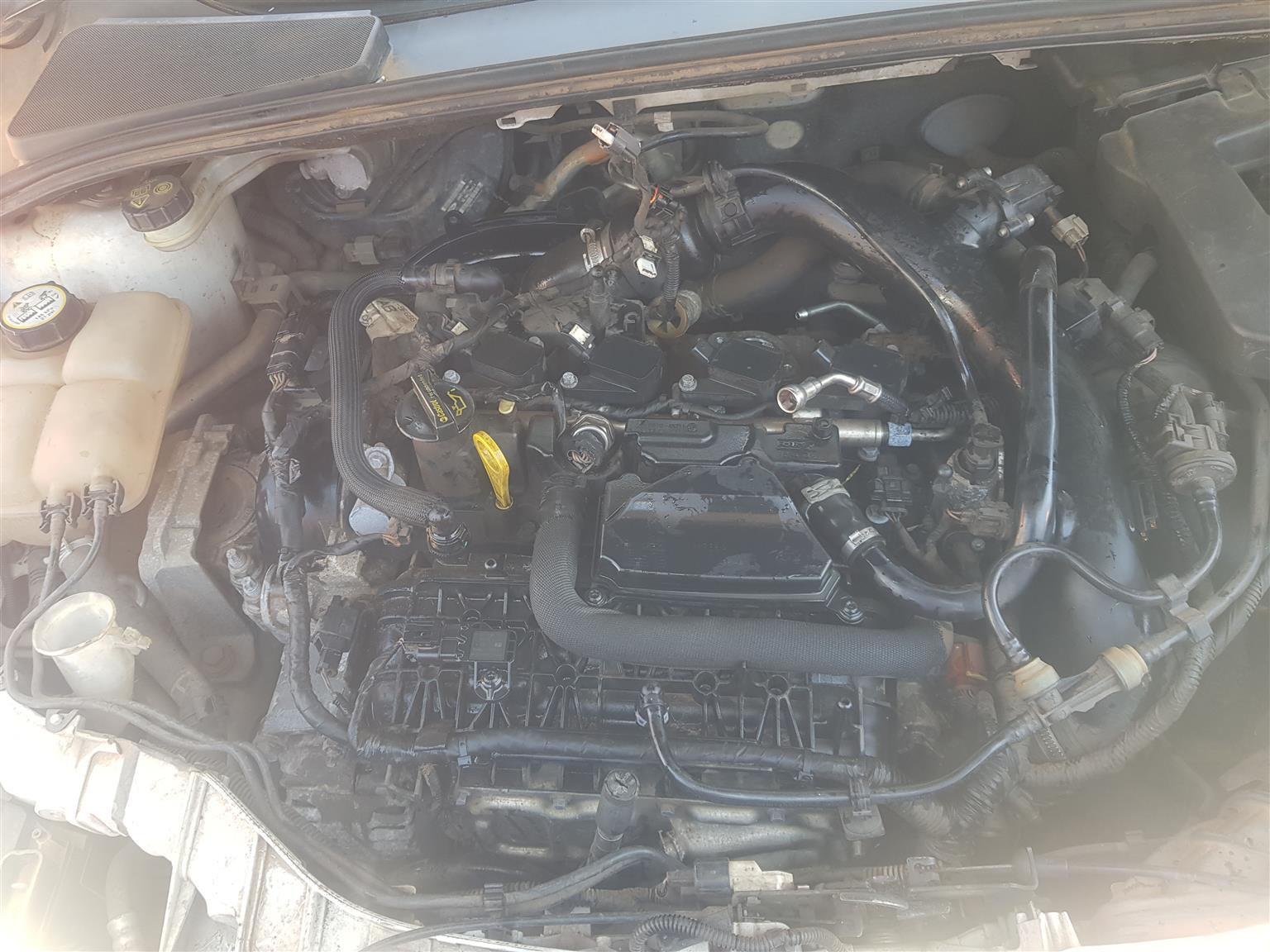 ford focus 1.5 2013 on complete stripping - Private Seller ford focus 1.5 2013 on complete stripping - Private Seller