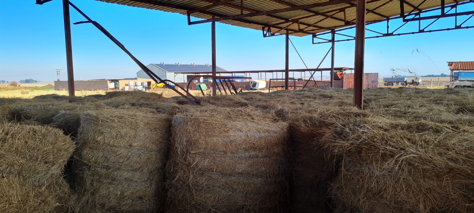 900 Mm Round Hay Bales For Sale Junk Mail