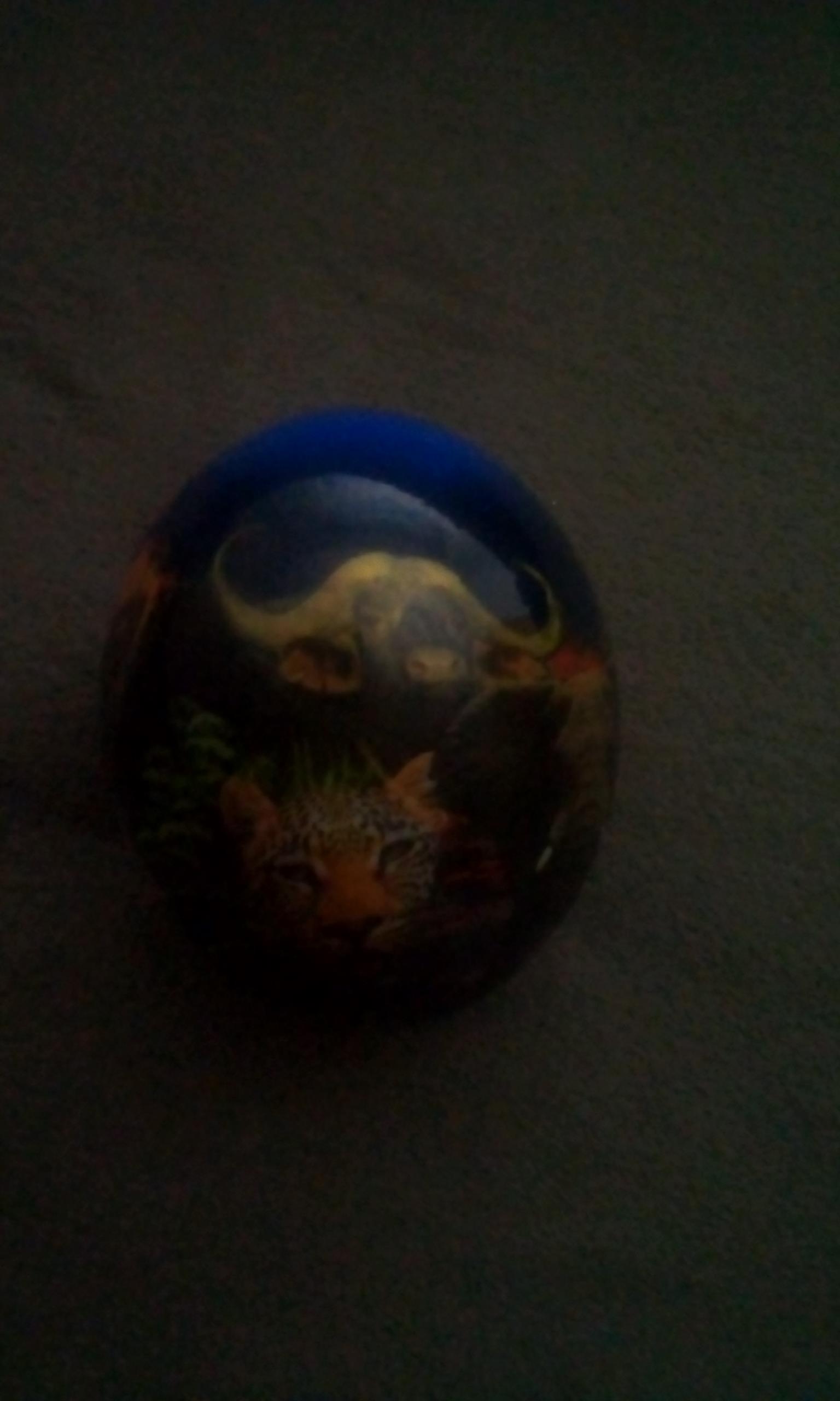 Big 5 decorative ostrich eggs